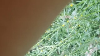 Farmer Daughter Takes Long Pee In Field