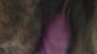 I love my purple dildo & pink pussy