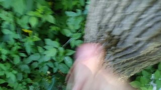 Gay boy pisses and jacks off on a tree