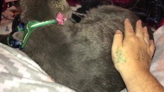 Boobs Ross — petting my hairy pussy — julyathon 11