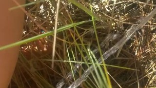 Hippie Girl Pees Naked While On Nature Walk