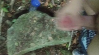 I came in the woods