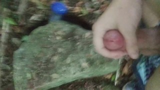 I came in the woods