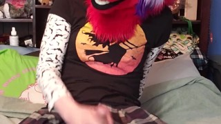 Trans Fox Cummies