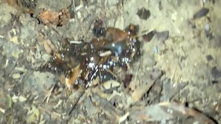 Pushing out so much cum after outdoor cruising and tasting that leaked cum