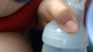Lactation