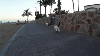 TRAVEL SHOW ASS DRIVER with Sasha Bikeyeva - Gran Canaria Part 1