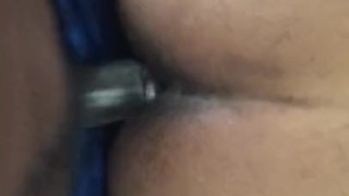 creamy asf