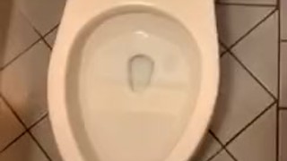 Cub pisses all over bathroom and makes a mess - Donations=More Vids :)