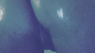 Shower shake 