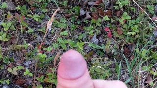 Public teen cum in forest