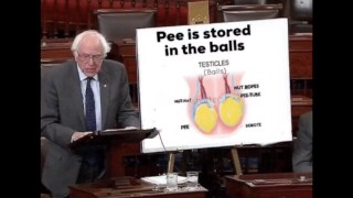 Area 51 Classified Images Proof Pee Is Stored In The Balls!!!