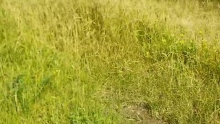 College teen pee outside of school