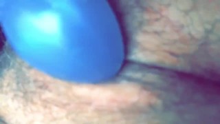 Blue bunny