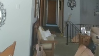 Good dog