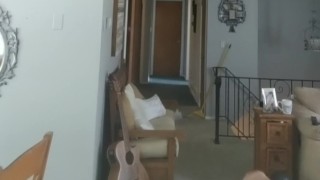 Good dog