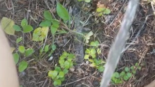 Short Girl Good Morning Piss In Woods
