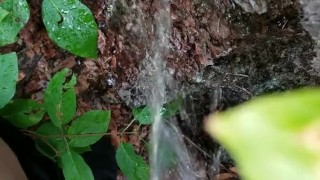 Good Morning Piss On Tree