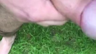 Morning walk in the garden