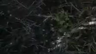 Peeing in the nature