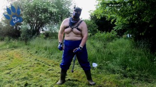 Garten-Hund wichst im Freien