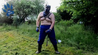 Garten-Hund wichst im Freien