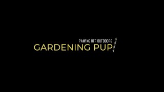 Garten-Hund wichst im Freien