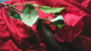 cumming on a rose and showing off some ass
