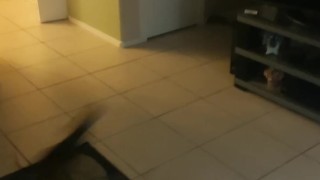 Bitch gets mad I take her toy