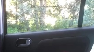 Самосос перед проходими