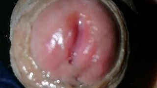 Tiny flaccid grower with precum and foreskinplay, cumshot at the end, enjoy