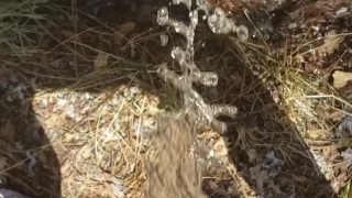 Short Girl Pisses On Tree In Public Park