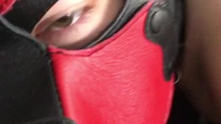 Leather pup wags tail in socks