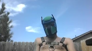 Puphunter edge sounding teaser