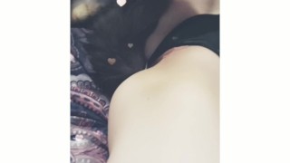 ♡itty bitty kitty showing off her fluffy tail♡
