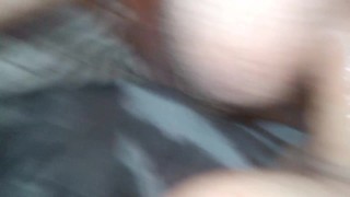 Naughty little squirting kitten