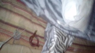 Naughty little squirting kitten