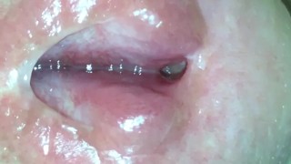 Inside My Cock - Part 1