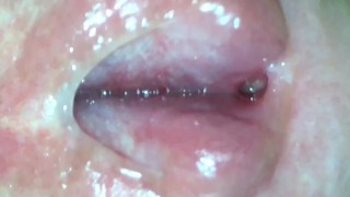 Inside My Cock - Part 1