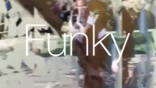 Xxxtacy twerk work