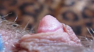 HARD BIG CLITORIS IN EXTREME CLOSE UP HD