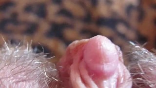 HARD BIG CLITORIS IN EXTREME CLOSE UP HD