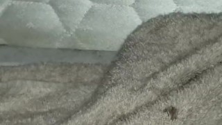 Hairy pussy cums hard