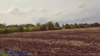Cum in my panties in a sunflower field