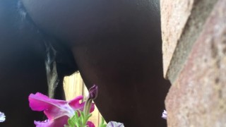 PEE DESPERATION TO WATER THE FLOWERS! (PREVIEW)