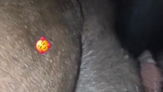 Squirtlandia Feat. Mr. Big Dick