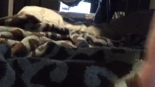 sissy watches with vibe on full blast