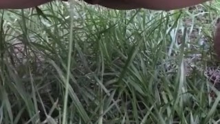 Pissing on the farm