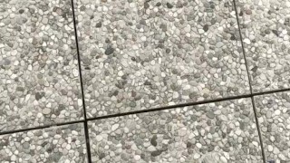 Chubby legs walking after sex in hotel