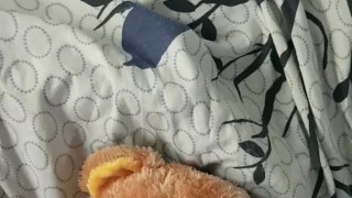 fucking a teddybear